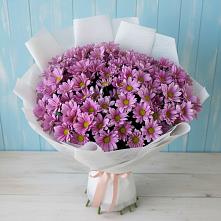 Букет цветов из:  Хризантемы #REPLACE_PRED# Инкермане