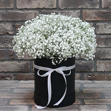 Цветочная композиция из Гипсофила в шляпной коробке в Инкермане