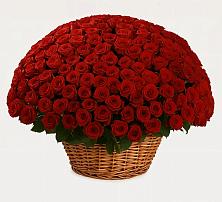 Премиум букет из: Розы в Инкермане