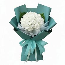 Букет цветов из:  Гортензия #REPLACE_PRED# Инкермане